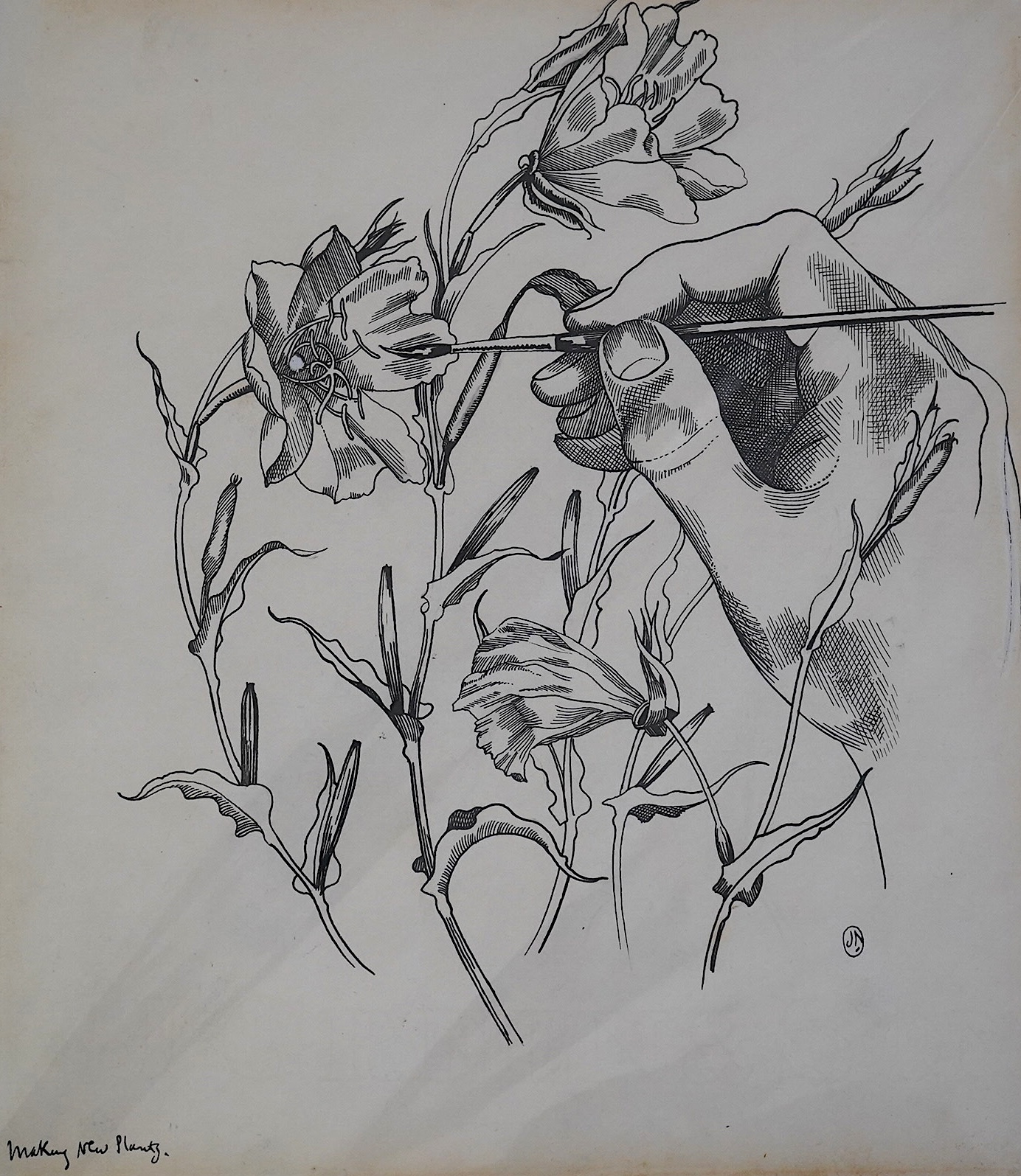 John Northcote Nash CBE R.A., (British 1893-1977), ‘Making New Plants', pen and ink on paper, 28 x 24cm